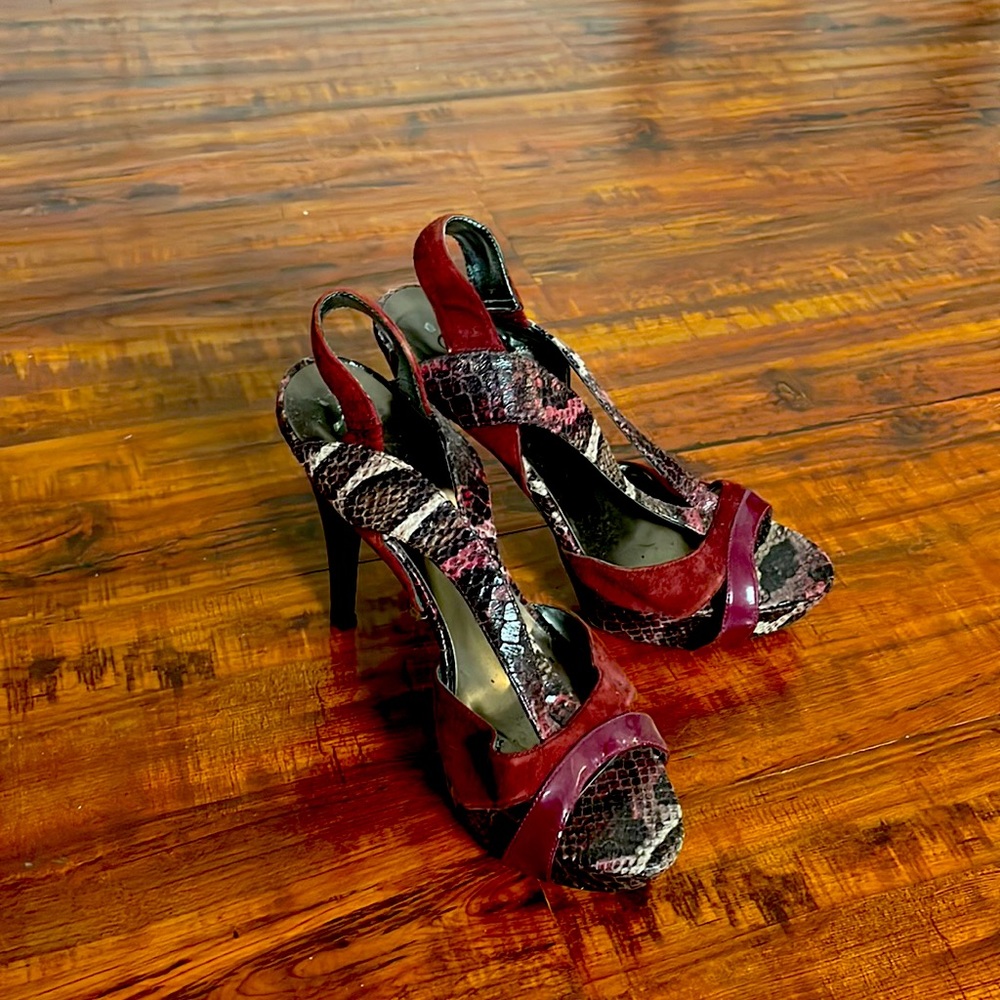 High top snake skin woman’s shoes